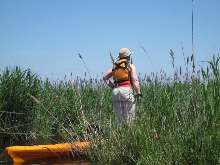 20130615_1252_The Captain Stands on Her Ship
